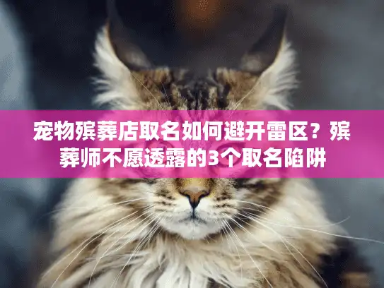 宠物殡葬店取名如何避开雷区？殡葬师不愿透露的3个取名陷阱