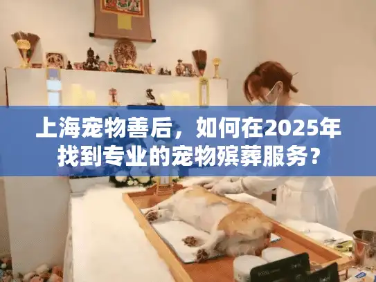 上海宠物善后，如何在2025年找到专业的宠物殡葬服务？