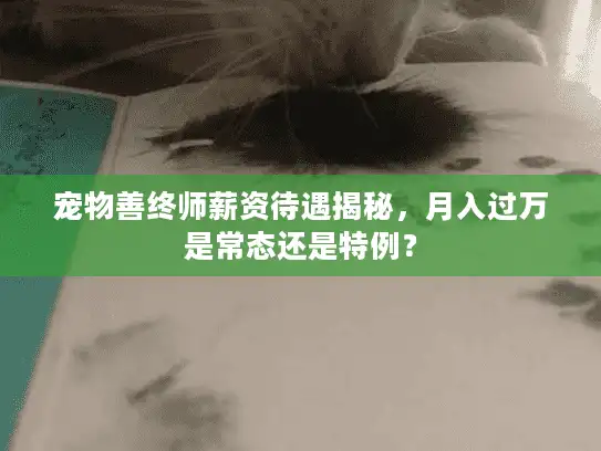 宠物善终师薪资待遇揭秘，月入过万是常态还是特例？