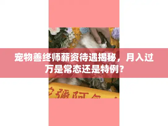 宠物善终师薪资待遇揭秘，月入过万是常态还是特例？