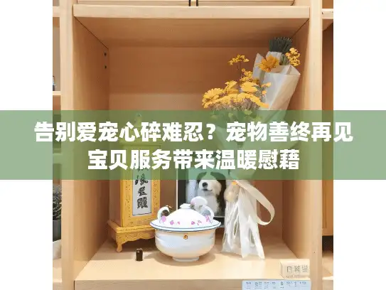 告别爱宠心碎难忍？宠物善终再见宝贝服务带来温暖慰藉