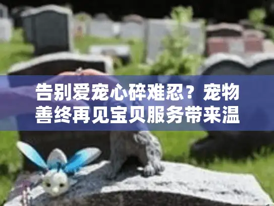 告别爱宠心碎难忍？宠物善终再见宝贝服务带来温暖慰藉