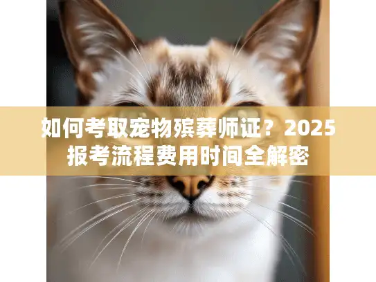 如何考取宠物殡葬师证？2025报考流程费用时间全解密