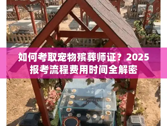 如何考取宠物殡葬师证？2025报考流程费用时间全解密