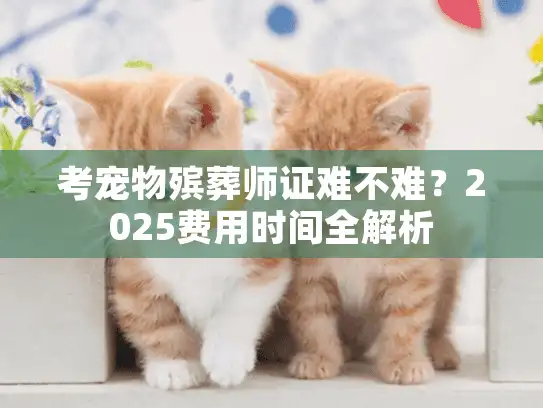 考宠物殡葬师证难不难？2025费用时间全解析