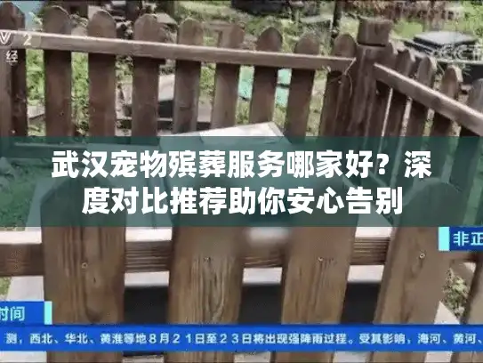 武汉宠物殡葬服务哪家好？深度对比推荐助你安心告别