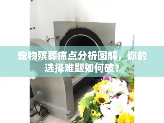 宠物殡葬痛点分析图解，你的选择难题如何破？