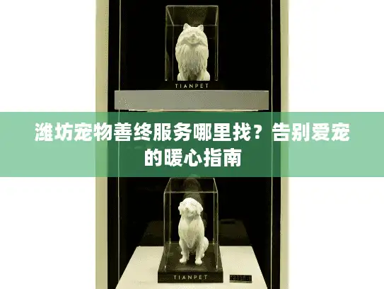 潍坊宠物善终服务哪里找？告别爱宠的暖心指南