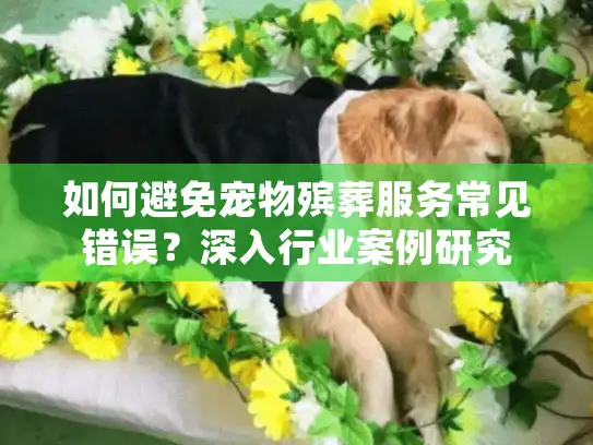 如何避免宠物殡葬服务常见错误？深入行业案例研究