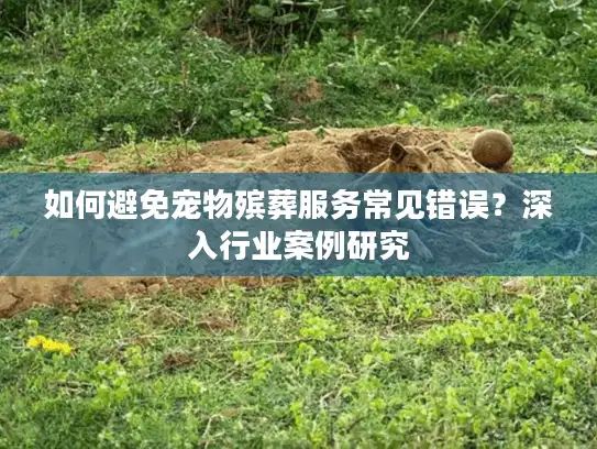 如何避免宠物殡葬服务常见错误？深入行业案例研究