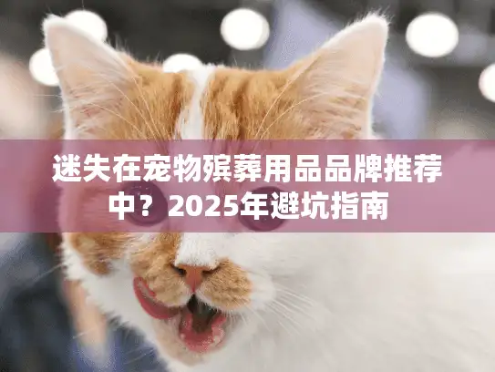 迷失在宠物殡葬用品品牌推荐中？2025年避坑指南
