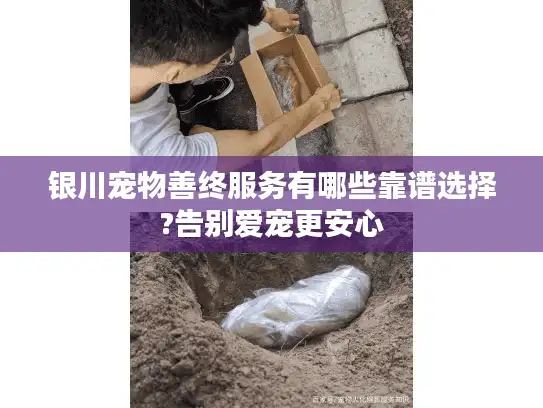 银川宠物善终服务有哪些靠谱选择?告别爱宠更安心