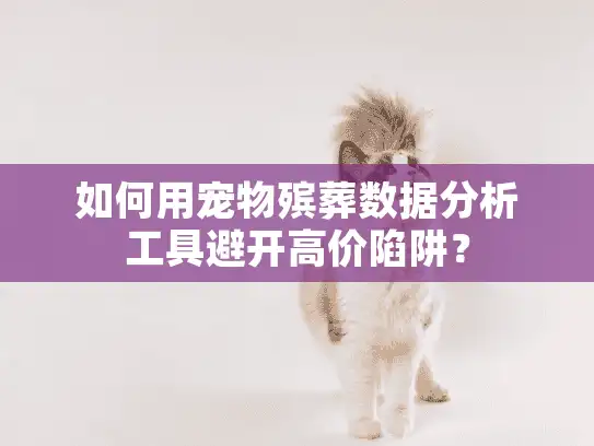 如何用宠物殡葬数据分析工具避开高价陷阱？