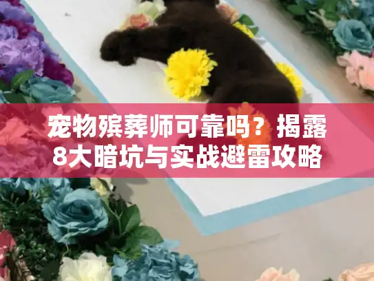 宠物殡葬师可靠吗？揭露8大暗坑与实战避雷攻略