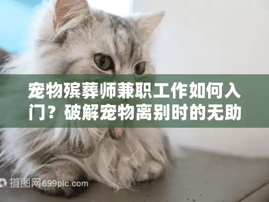 宠物殡葬师兼职工作如何入门？破解宠物离别时的无助与赚钱机会