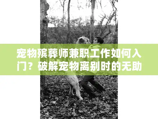 宠物殡葬师兼职工作如何入门？破解宠物离别时的无助与赚钱机会