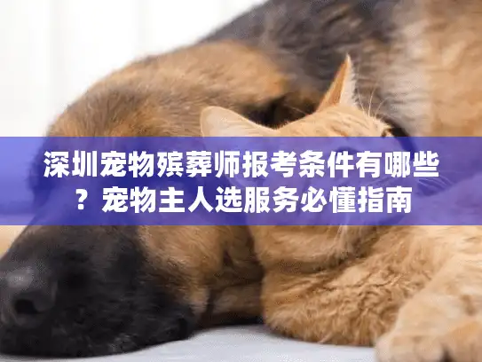 深圳宠物殡葬师报考条件有哪些？宠物主人选服务必懂指南