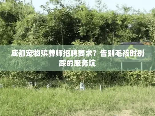 成都宠物殡葬师招聘要求？告别毛孩时别踩的服务坑
