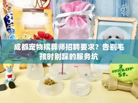 成都宠物殡葬师招聘要求？告别毛孩时别踩的服务坑