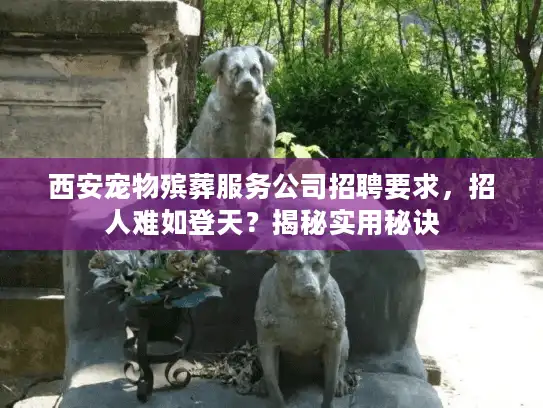 西安宠物殡葬服务公司招聘要求，招人难如登天？揭秘实用秘诀