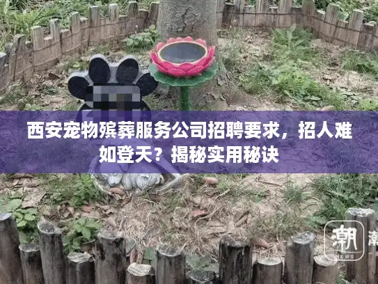 西安宠物殡葬服务公司招聘要求，招人难如登天？揭秘实用秘诀