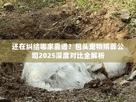 还在纠结哪家靠谱？包头宠物殡葬公司2025深度对比全解析