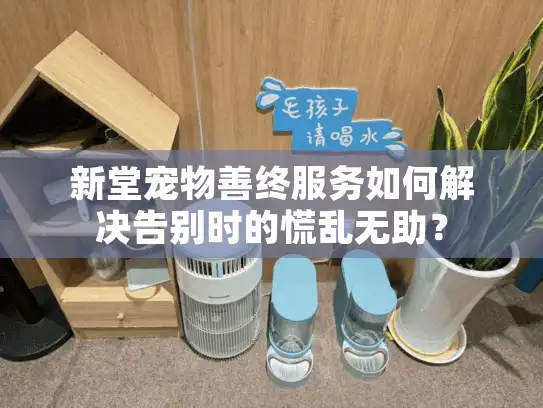 新堂宠物善终服务如何解决告别时的慌乱无助？