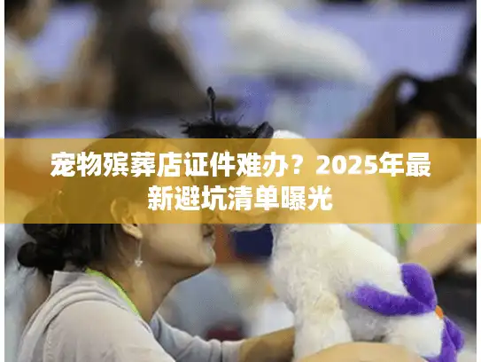 宠物殡葬店证件难办？2025年最新避坑清单曝光