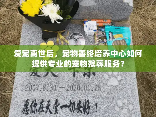 爱宠离世后，宠物善终培养中心如何提供专业的宠物殡葬服务？