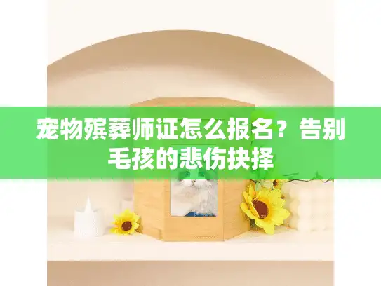 宠物殡葬师证怎么报名？告别毛孩的悲伤抉择
