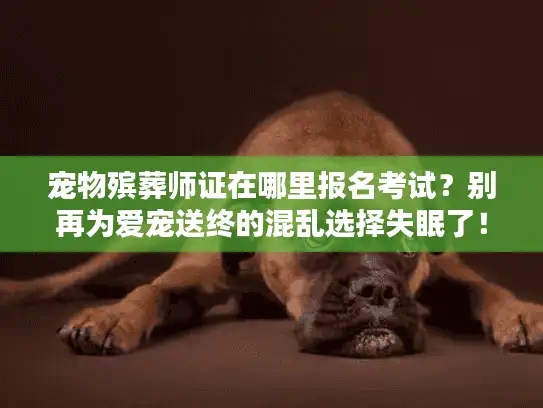 宠物殡葬师证在哪里报名考试？别再为爱宠送终的混乱选择失眠了！