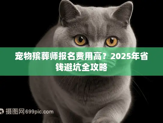宠物殡葬师报名费用高？2025年省钱避坑全攻略