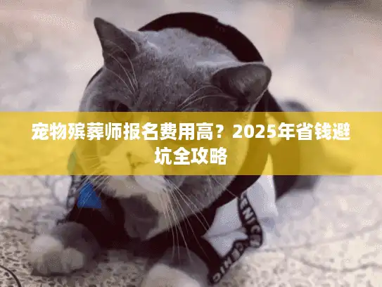宠物殡葬师报名费用高？2025年省钱避坑全攻略