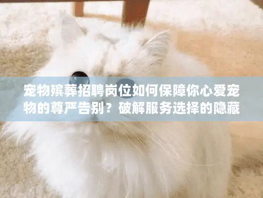 宠物殡葬招聘岗位如何保障你心爱宠物的尊严告别？破解服务选择的隐藏关键