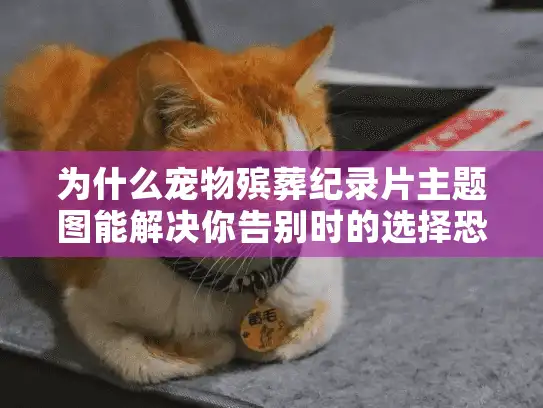 为什么宠物殡葬纪录片主题图能解决你告别时的选择恐惧？