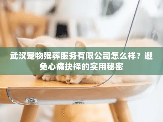 武汉宠物殡葬服务有限公司怎么样？避免心痛抉择的实用秘密