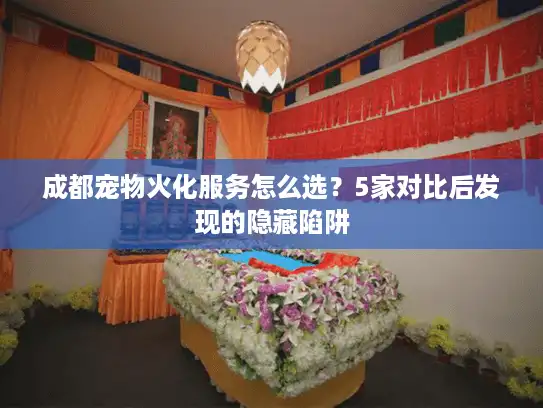 成都宠物火化服务怎么选？5家对比后发现的隐藏陷阱