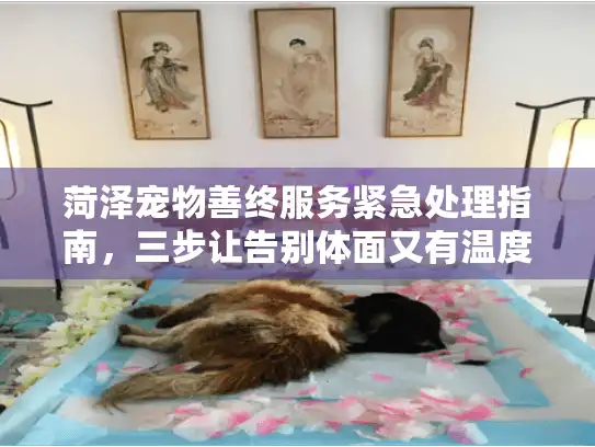 菏泽宠物善终服务紧急处理指南，三步让告别体面又有温度