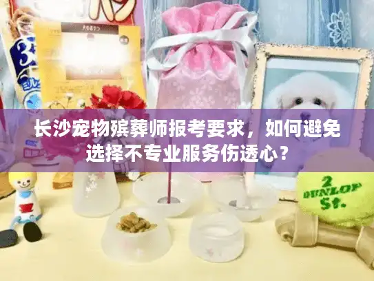 长沙宠物殡葬师报考要求，如何避免选择不专业服务伤透心？