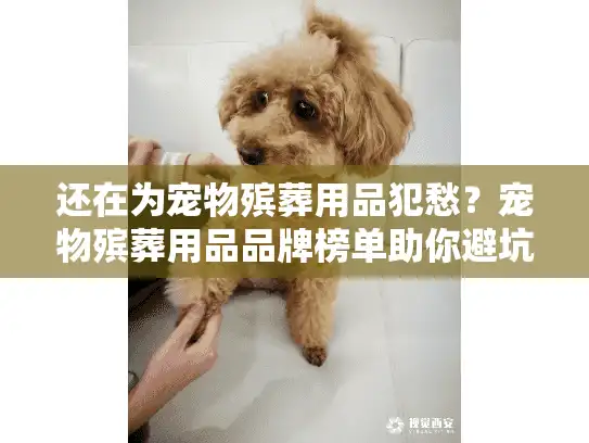 还在为宠物殡葬用品犯愁？宠物殡葬用品品牌榜单助你避坑明智
