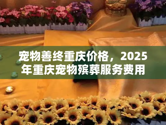 宠物善终重庆价格，2025年重庆宠物殡葬服务费用全解析