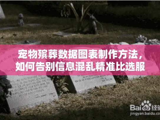 宠物殡葬数据图表制作方法，如何告别信息混乱精准比选服务