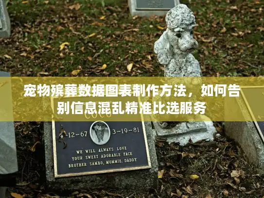 宠物殡葬数据图表制作方法，如何告别信息混乱精准比选服务
