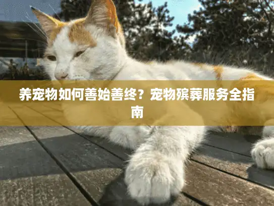 养宠物如何善始善终？宠物殡葬服务全指南