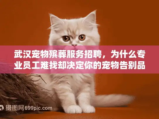 武汉宠物殡葬服务招聘，为什么专业员工难找却决定你的宠物告别品质？解决服务不靠谱痛点）