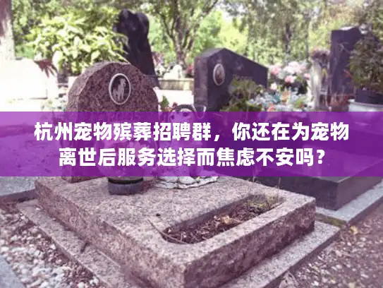 杭州宠物殡葬招聘群，你还在为宠物离世后服务选择而焦虑不安吗？