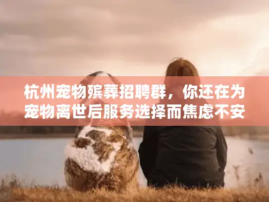 杭州宠物殡葬招聘群，你还在为宠物离世后服务选择而焦虑不安吗？