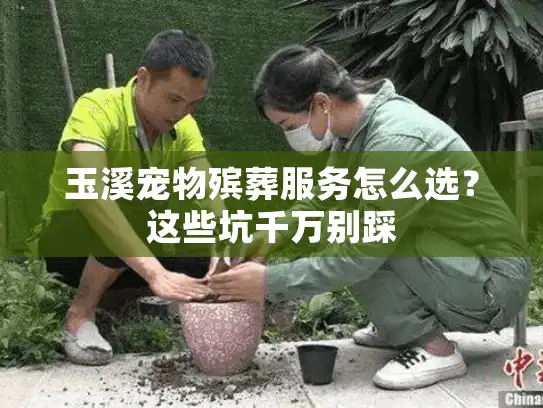 玉溪宠物殡葬服务怎么选？这些坑千万别踩