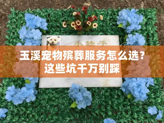 玉溪宠物殡葬服务怎么选？这些坑千万别踩
