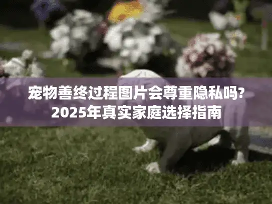 宠物善终过程图片会尊重隐私吗?2025年真实家庭选择指南